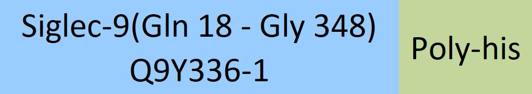 Siglec-9 Structure